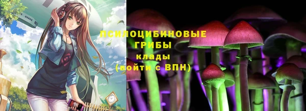 мескалин Няндома