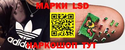 гашик Гай