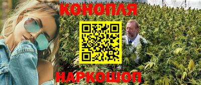 гашик Гай