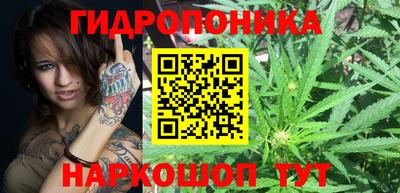 прущая мука Гатчина