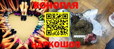 прущая мука Гатчина
