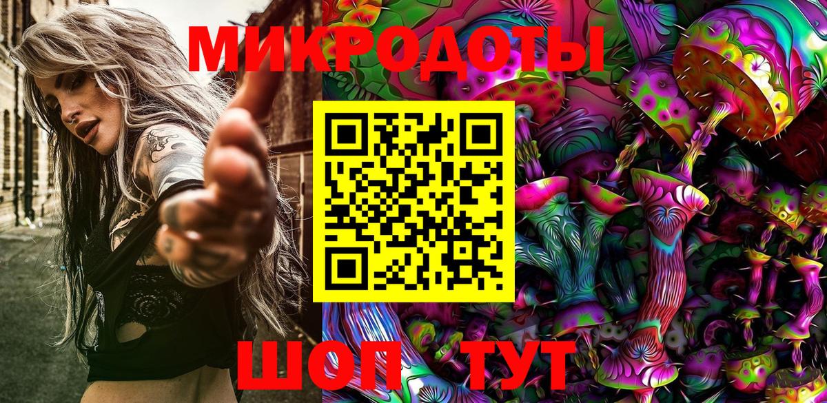 Галлюциногенные грибы Psilocybine cubensis  Заволжье 